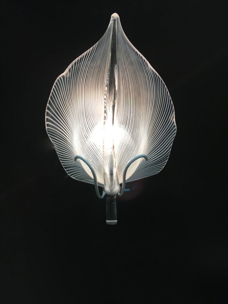 Coppia Applique Con Foglia Di Murano f3 international - immagine 9